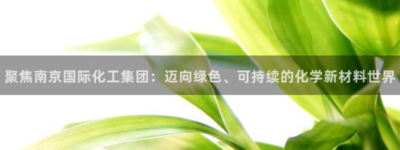 球盟会app最新地址在哪找：聚焦南京国际化工集团：迈向绿色、