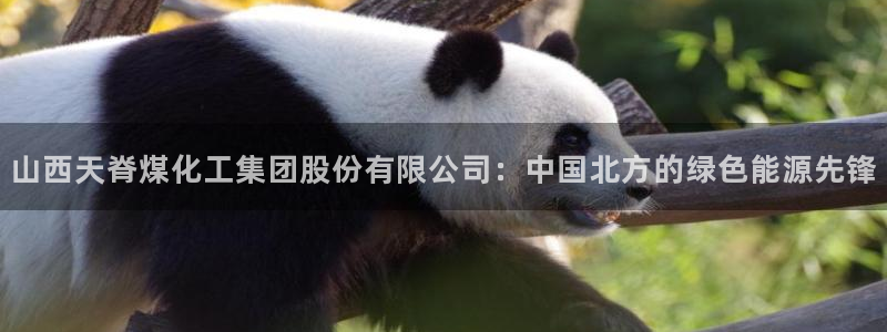 球盟会手机网页版：山西天脊煤化工集团股份有限公司：中国北方的