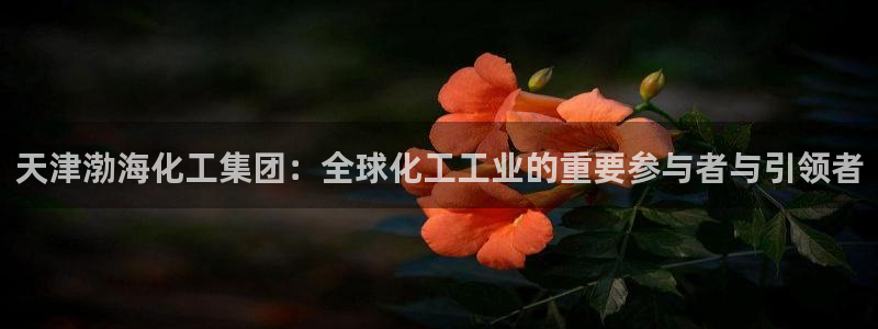 球盟会黑台子：天津渤海化工集团：全球化工工业的重要参与者与引