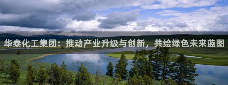 球盟会和中欧会的区别：华泰化工集团：推动产业升级与创新，共绘