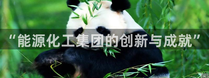 球盟会官方登录平台入口：“能源化工集团的创新与成就”