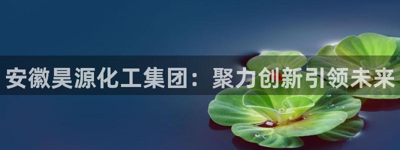 球盟会能退钱吗：安徽昊源化工集团：聚力创新引领未来