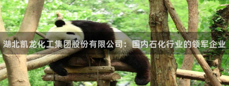 球盟会登录网址：湖北凯龙化工集团股份有限公司：国内石化行业的