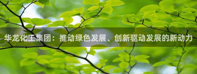 球盟会黑款吗是真的吗：华龙化工集团：推动绿色发展、创新驱动发