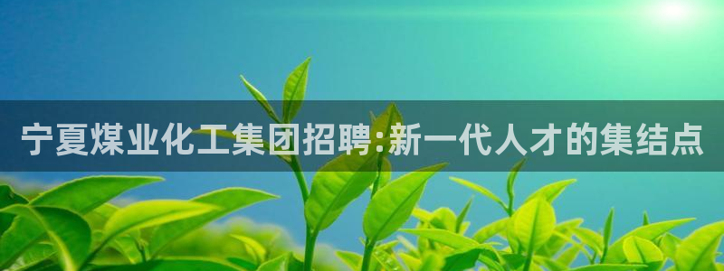 球盟会网址：宁夏煤业化工集团招聘:新一代人才的集结点