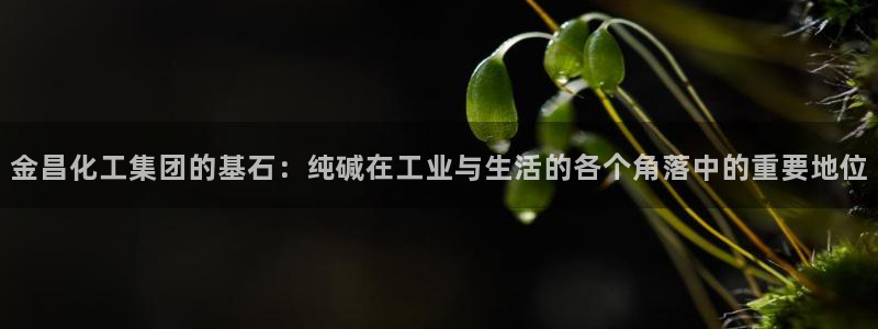 球盟会能退钱吗是真的吗：金昌化工集团的基石：纯碱在工业与生活