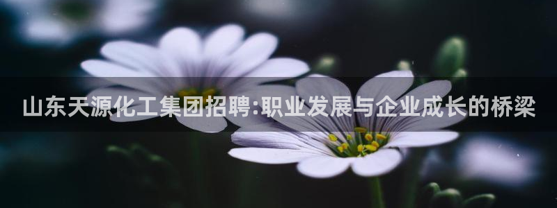 球盟会官方最新入口：山东天源化工集团招聘:职业发展与企业成长