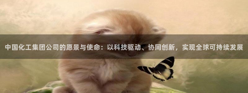 球盟会官方入口：中国化工集团公司的愿景与使命：以科技驱动、协