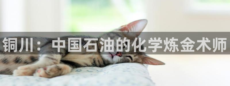 球盟会登录平台入口：铜川：中国石油的化学炼金术师