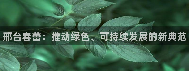 球盟会提款支付宝怎么样：邢台春蕾：推动绿色、可持续发展的新典