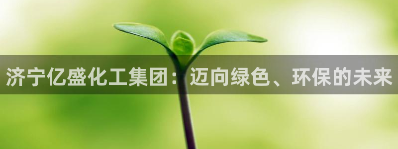 球盟会用的客服聊天是哪个软件：济宁亿盛化工集团：迈向绿色、环