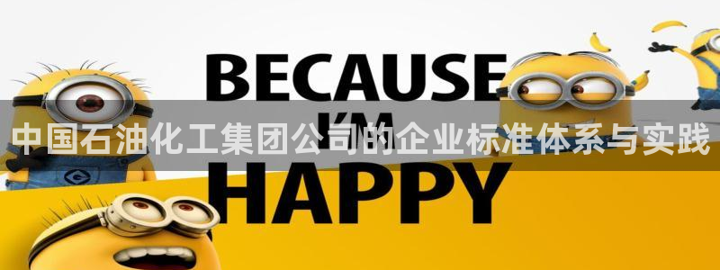 球盟会能提现吗安全吗：中国石油化工集团公司的企业标准体系与实