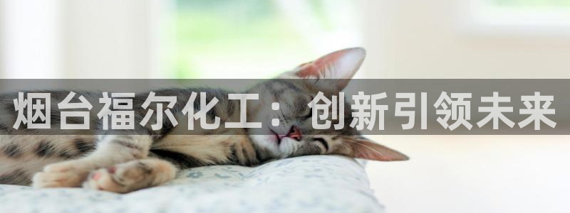 球盟会下款快吗：烟台福尔化工：创新引领未