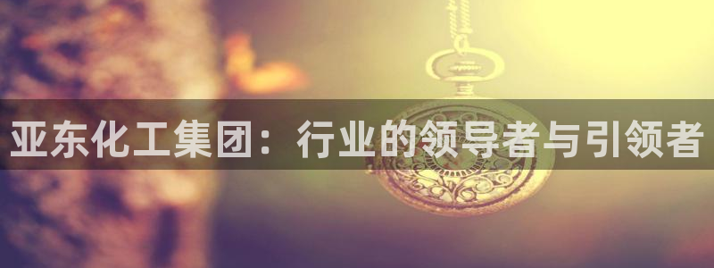 球盟会吧：亚东化工集团：行业的领导者与引领者