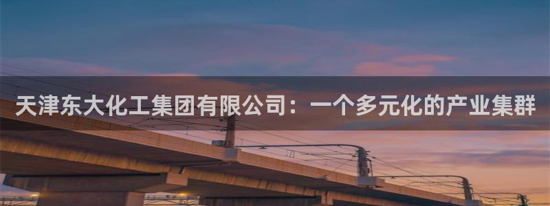球盟会和中欧：天津东大化工集团有限公司：一个多元化的产业集群