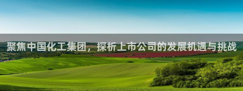 球盟会官网：聚焦中国化工集团，探析上市公司的发展机遇与挑战