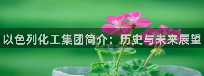 球盟会有没有黑单的：以色列化工集团简介：历史与未来展望