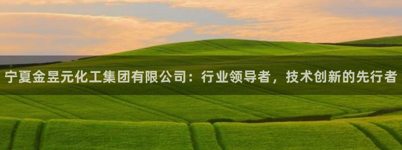 球盟会里面有打牌的嘛是真的吗：宁夏金昱元化工集团有限公司：行