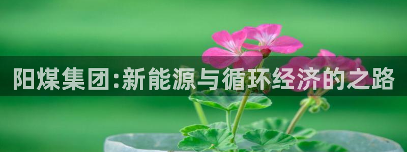 球盟会app最新地址在哪：阳煤集团:新能源与循环经济的之路