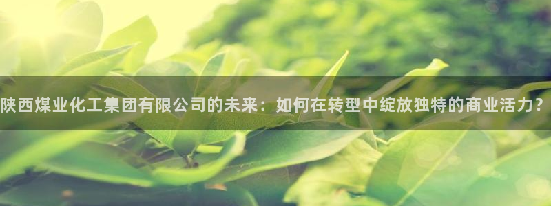 球盟会在线官网：陕西煤业化工集团有限公司的未来：如何在转型中