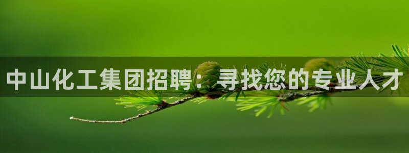 球盟会登录入口：中山化工集团招聘：寻找您的专业人才