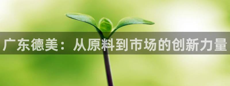 球盟会下载最新版